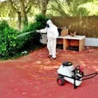 La imagen 1 de la Empresa G M SANIDAD AMBIENTAL Servicios Profesionales y de Negocios en Aspe A