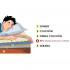 La imagen 3 de la Empresa GLOBAL RENT SOLUTION S.L. Servicios Profesionales y de Negocios en Vélez-Málaga MA