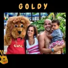 La imagen 18 de la Empresa GOLDEN ENTERTAINMENT ANDALUCÍA Organización De Eventos en Torremolinos MA