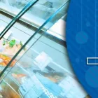 La imagen 2 de la Empresa GRUP IBARSFRED S.L. Servicios Profesionales y de Negocios en Blanes GI