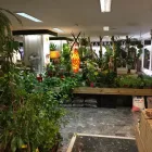 La imagen 1 de la Empresa GRUPO ANATURA - LA CASA DE LAS SEMILLAS Servicios Profesionales y de Negocios en Las Palmas de Gran Canaria GC