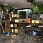 La imagen 2 de la Empresa GRUPO ANATURA - LA CASA DE LAS SEMILLAS Servicios Profesionales y de Negocios en Las Palmas de Gran Canaria GC