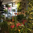 La imagen 7 de la Empresa GRUPO ANATURA - LA CASA DE LAS SEMILLAS Servicios Profesionales y de Negocios en Las Palmas de Gran Canaria GC