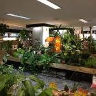 La imagen 11 de la Empresa GRUPO ANATURA - LA CASA DE LAS SEMILLAS Servicios Profesionales y de Negocios en Las Palmas de Gran Canaria GC