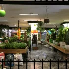 La imagen 12 de la Empresa GRUPO ANATURA - LA CASA DE LAS SEMILLAS Servicios Profesionales y de Negocios en Las Palmas de Gran Canaria GC