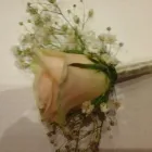 La imagen 30 de la Empresa GUIMAGUADA BY CARMEN TRUJILLO Industrias y Agricultura en Telde GC