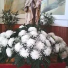 La imagen 31 de la Empresa GUIMAGUADA BY CARMEN TRUJILLO Industrias y Agricultura en Telde GC