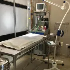 La imagen 6 de la Empresa HABANA BOSTON Veterinarios y Farmacias Veterinarias en Boadilla del Monte M