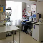 La imagen 10 de la Empresa HABANA BOSTON Veterinarios y Farmacias Veterinarias en Boadilla del Monte M