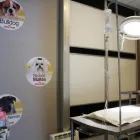 La imagen 15 de la Empresa HABANA BOSTON Veterinarios y Farmacias Veterinarias en Boadilla del Monte M
