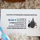La imagen 21 de la Empresa HABANA BOSTON Veterinarios y Farmacias Veterinarias en Boadilla del Monte M