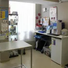 La imagen 35 de la Empresa HABANA BOSTON Veterinarios y Farmacias Veterinarias en Boadilla del Monte M