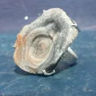 La imagen 9 de la Empresa HARMONY DESIGN, JOYAS CON PERSONALIDAD Tiendas de Regalos en Pozuelo de Alarcón M