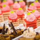 La imagen 3 de la Empresa HOTEL HTOP OLYMPIC Transportes y Turismo en Calella B