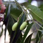 La imagen 12 de la Empresa HUERTO URBANO GROW Industrias y Agricultura en Casabermeja MA