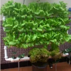 La imagen 19 de la Empresa HUERTO URBANO GROW Industrias y Agricultura en Casabermeja MA