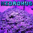 La imagen 20 de la Empresa HUERTO URBANO GROW Industrias y Agricultura en Casabermeja MA