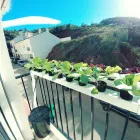 La imagen 32 de la Empresa HUERTO URBANO GROW Industrias y Agricultura en Casabermeja MA