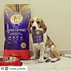 La imagen 7 de la Empresa HUSSE Animales De CompaÑia Alimentos: Fabricantes Y Mayoristas en Madrid M
