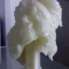 La imagen 2 de la Empresa I3DLAB Impresion Digital en Zaragoza AR
