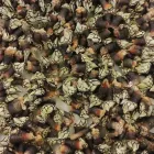 La imagen 9 de la Empresa IZKIÑA RESTAURANTE Marisquería en Pasai San Pedro SS