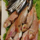 La imagen 11 de la Empresa IZKIÑA RESTAURANTE Marisquería en Pasai San Pedro SS