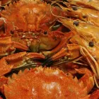 La imagen 12 de la Empresa IZKIÑA RESTAURANTE Marisquería en Pasai San Pedro SS