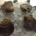 La imagen 20 de la Empresa IZKIÑA RESTAURANTE Marisquería en Pasai San Pedro SS