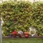 La imagen 3 de la Empresa JARDINERÍA ANTONIO Servicios Profesionales y de Negocios en Móstoles M