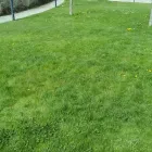 La imagen 8 de la Empresa JARDINERÍA ANTONIO Servicios Profesionales y de Negocios en Móstoles M