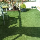 La imagen 9 de la Empresa JARDINERÍA ANTONIO Servicios Profesionales y de Negocios en Móstoles M