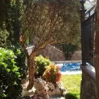 La imagen 11 de la Empresa JARDINERÍA ANTONIO Servicios Profesionales y de Negocios en Móstoles M