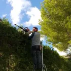 La imagen 1 de la Empresa JARDINES BALEAR Servicios Profesionales y de Negocios en Santa Ponça IB