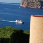 La imagen 3 de la Empresa JARDINES BALEAR Servicios Profesionales y de Negocios en Santa Ponça IB