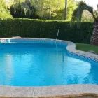 La imagen 7 de la Empresa JARDINES BALEAR Servicios Profesionales y de Negocios en Santa Ponça IB
