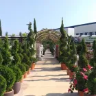 La imagen 10 de la Empresa JARDINES BALEAR Servicios Profesionales y de Negocios en Santa Ponça IB