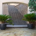 La imagen 12 de la Empresa JARDINES BALEAR Servicios Profesionales y de Negocios en Santa Ponça IB