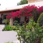 La imagen 13 de la Empresa JARDINES BALEAR Servicios Profesionales y de Negocios en Santa Ponça IB