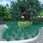 La imagen 15 de la Empresa JARDINES JOMI Servicios Profesionales y de Negocios en Santa Ponça IB