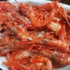 La imagen 2 de la Empresa LA BODEGUITA DE EL CALAERO Restaurantes en Málaga España
