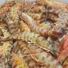 La imagen 19 de la Empresa LA BODEGUITA DE EL CALAERO Restaurantes en Málaga España