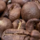 La imagen 2 de la Empresa LA CHAITECA Tiendas y Productores de Alimentos en Madrid M