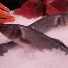 La imagen 4 de la Empresa LA MAROTECA PESCADO SALVAJE ARIBAU Restaurantes Mediterráneos en Barcelona B