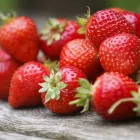 La imagen 8 de la Empresa LAS OVEJAS VERDES Tiendas y Productores de Alimentos en Las Palmas de Gran Canaria GC