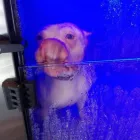 La imagen 4 de la Empresa LAVAKAN Productos y Servicios de Cuidado Personal en Pineda de Mar B