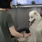 La imagen 8 de la Empresa LAVAKAN Productos y Servicios de Cuidado Personal en Pineda de Mar B