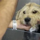 La imagen 9 de la Empresa LAVAKAN Productos y Servicios de Cuidado Personal en Pineda de Mar B