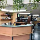 La imagen 1 de la Empresa LIMPIEZAS PIM - TER Servicios y Equipos de Limpieza en Barcelona B