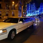 La imagen 1 de la Empresa LIMUSINAS DREAM-CARS Concesionarios y Alquiler de Vehículos en Madrid M