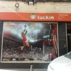 La imagen 2 de la Empresa LUCKIA SLOTS APUESTAS OCA Casinos y Loterías en Madrid M
